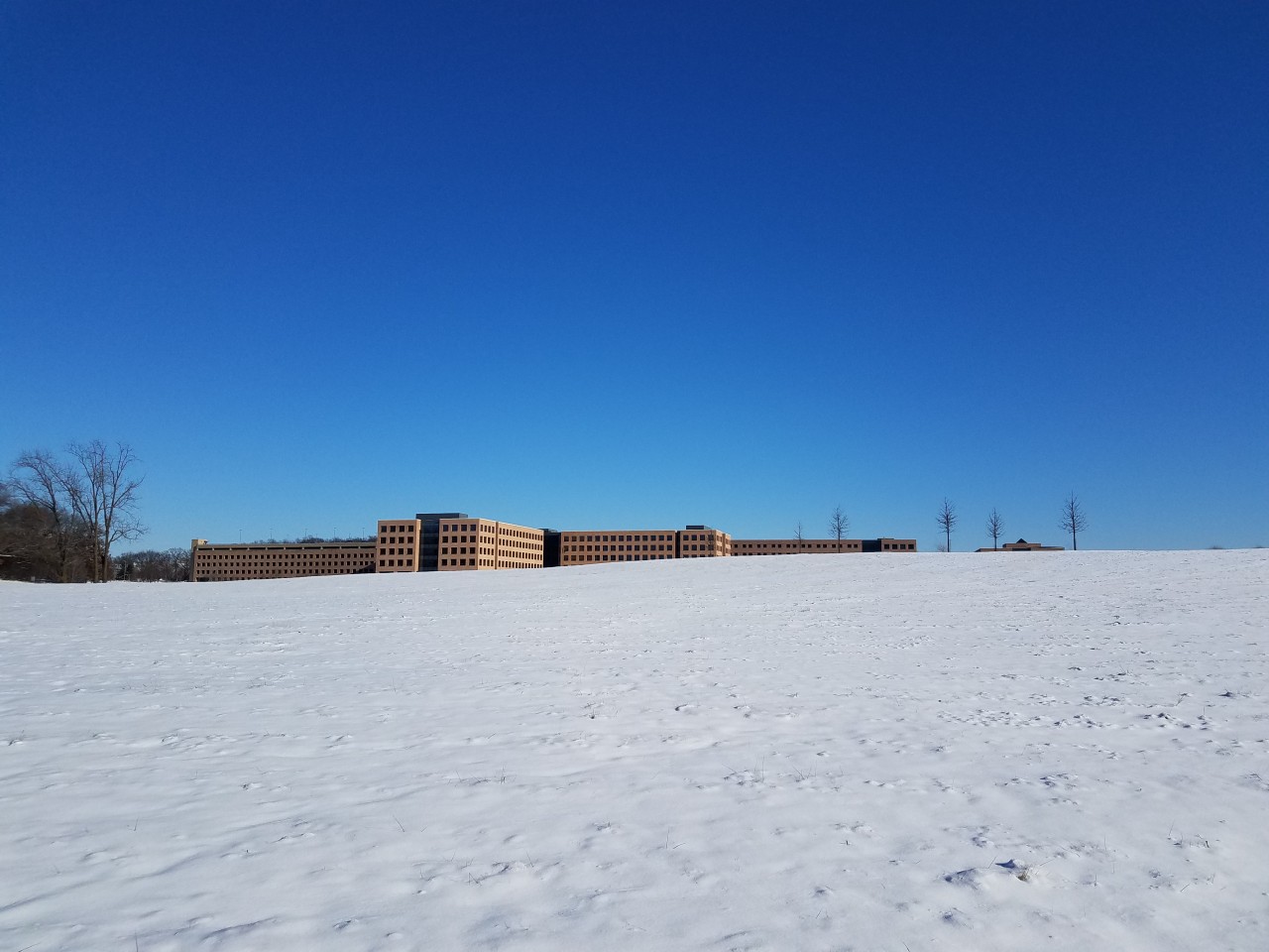 A walk at lunchtime