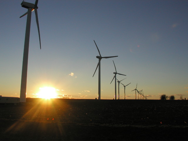 Turbines In The Fields